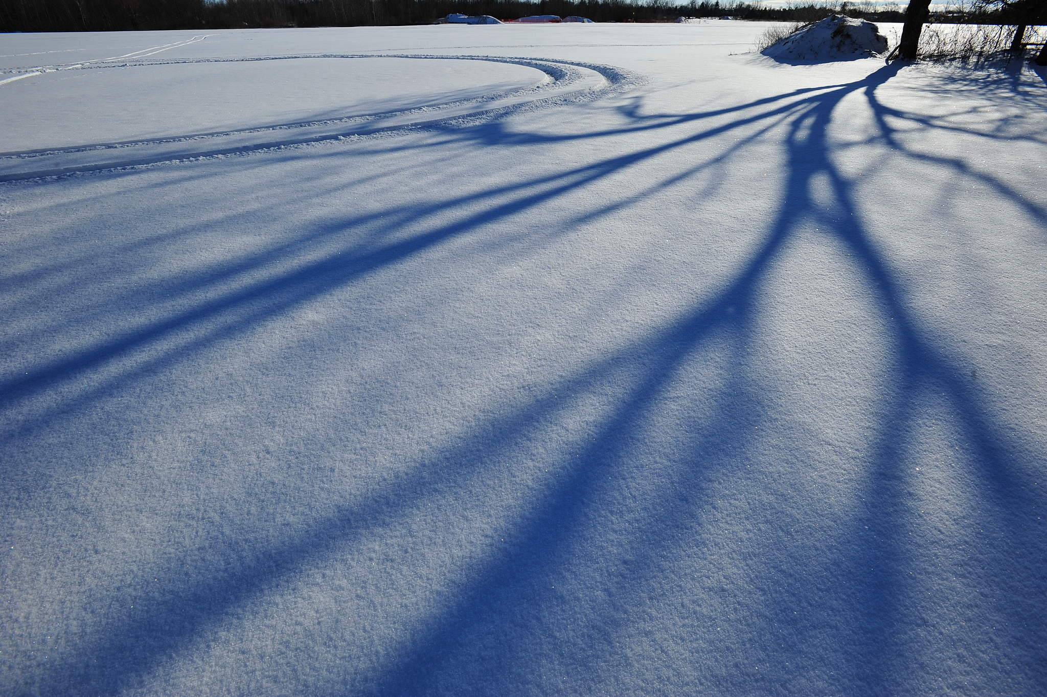 Photography by Maria Szemplinska