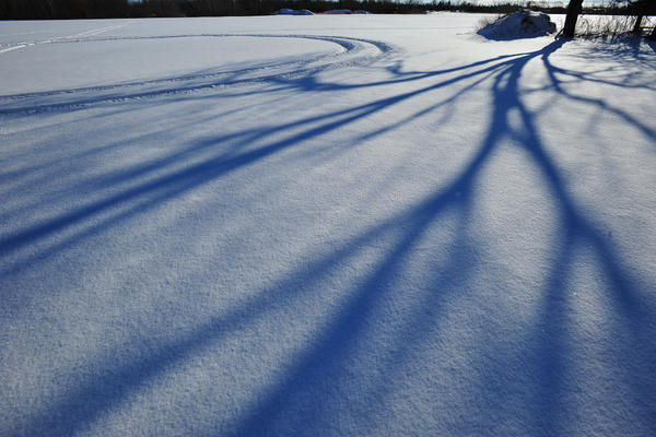 Photography by Maria Szemplinska