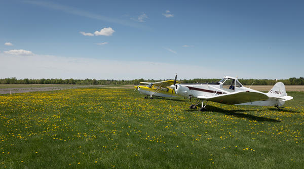 Tow planes - Courtesy of Rob Williams