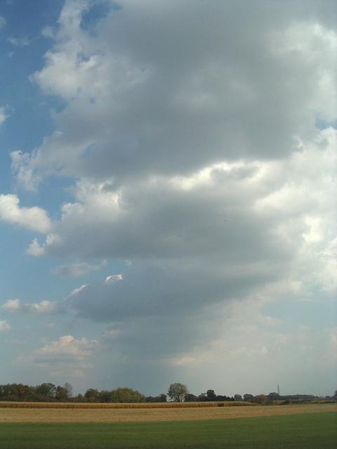 Fall cloudstreet in Southwestern Ontario
Embro ON, Oct. 8, 2007