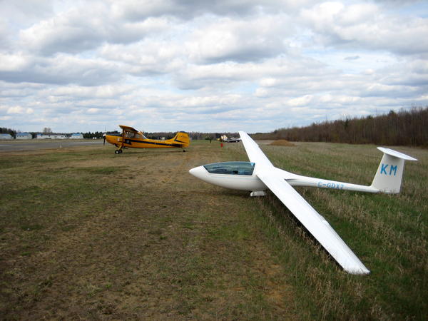 2 mai 2009.  2e vache en carrière, à un aérodrome, cette fois.  Les membres des cadets se sont montrés très intéressés.